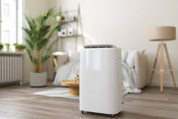 Best HVAC tune-up services  in Centreville, MI